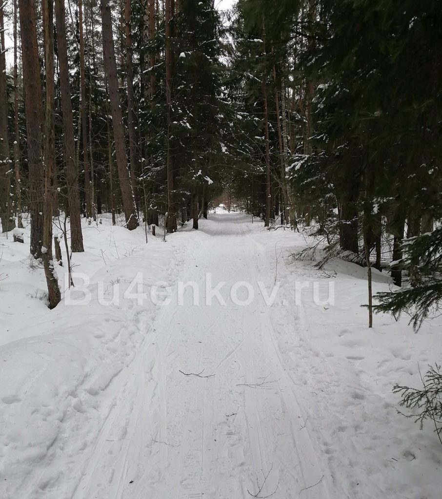 Лучшие места для бега в зимнее время