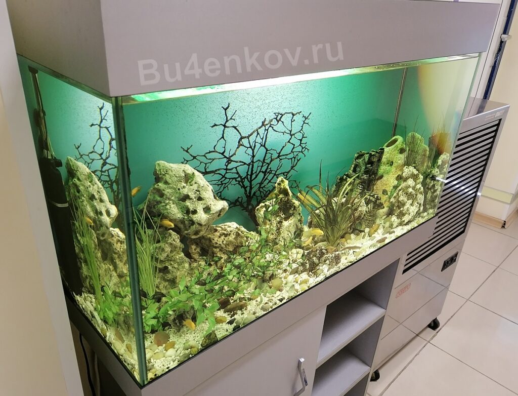 Простой, классический аквариум Типичный аквариум