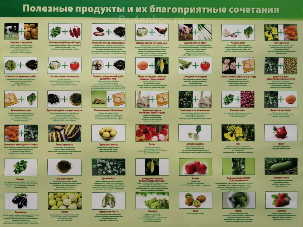 Полезные сочетания продуктов питания. Совместимость продуктов