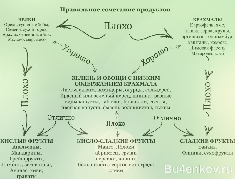 Таблица совместимости еды в пищеварительной системе. Таблица совместимости пищи.